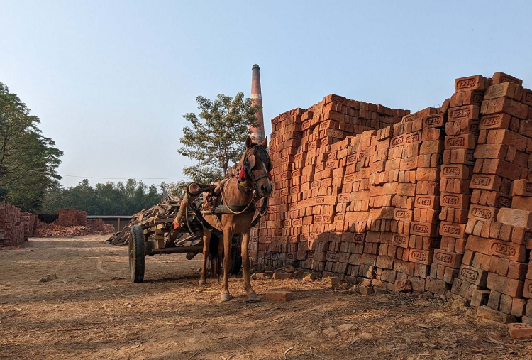 A working equine waiting for cart loading at a brick kiln in Nepal.